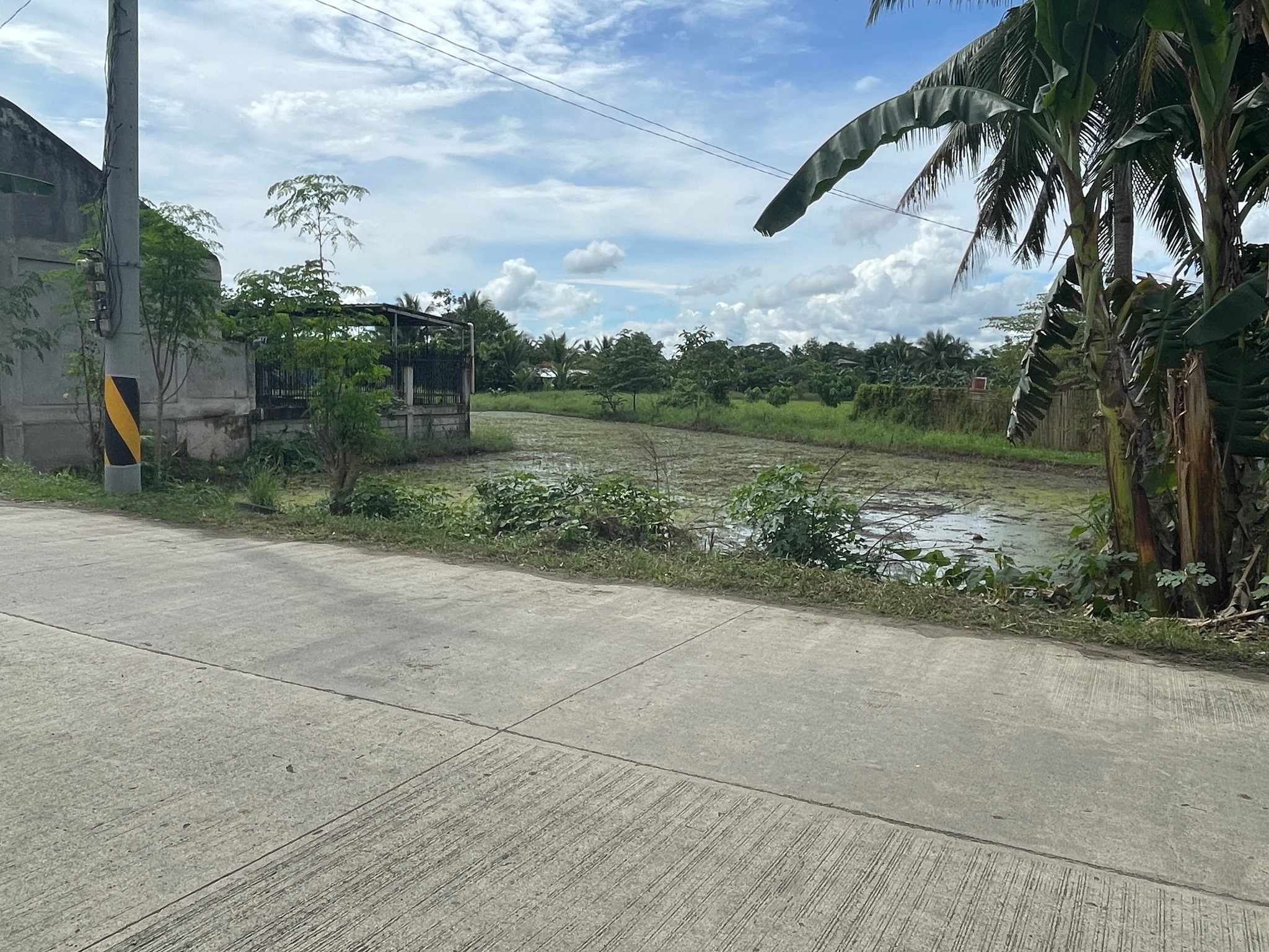 Land